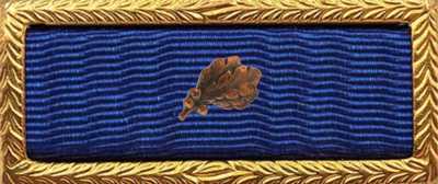 Presidential Unit Citation Rack Builder