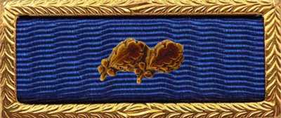 Presidential Unit Citation Rack Builder