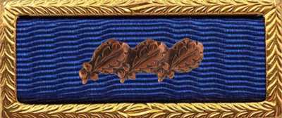 Presidential Unit Citation Rack Builder