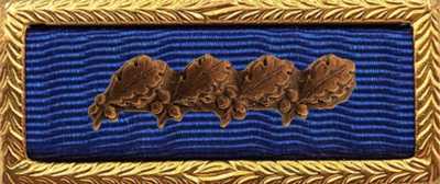 Presidential Unit Citation Rack Builder