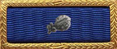 Presidential Unit Citation Rack Builder