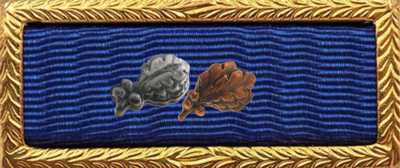 Presidential Unit Citation Rack Builder