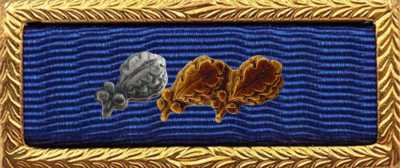 Presidential Unit Citation Rack Builder