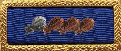 Presidential Unit Citation Rack Builder