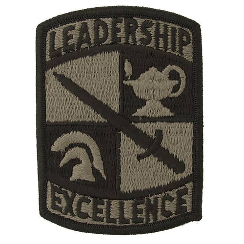 ROTC Cadet Command Army OCP Patch