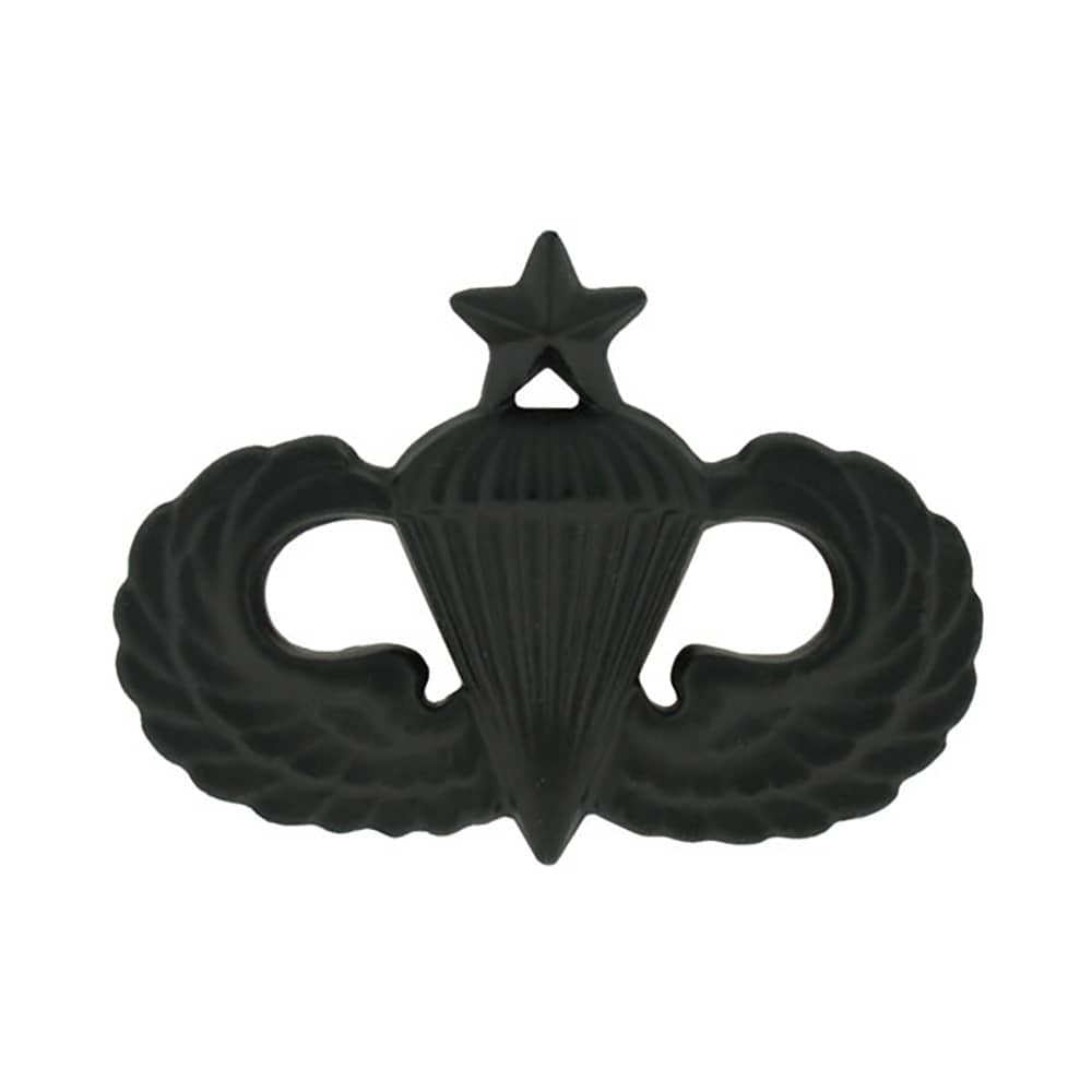 A black metal insignia patch featuring the Airborne Division crest with a star and parachute, set against a plain white background.