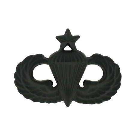 A black metal insignia patch featuring the Airborne Division crest with a star and parachute, set against a plain white background.