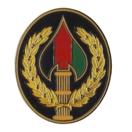 Special Operations Joint Task Force Afghanistan Badge on a white background