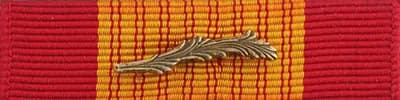 Vietnam Cross of Gallantry with Bronze Palm Ribbon
