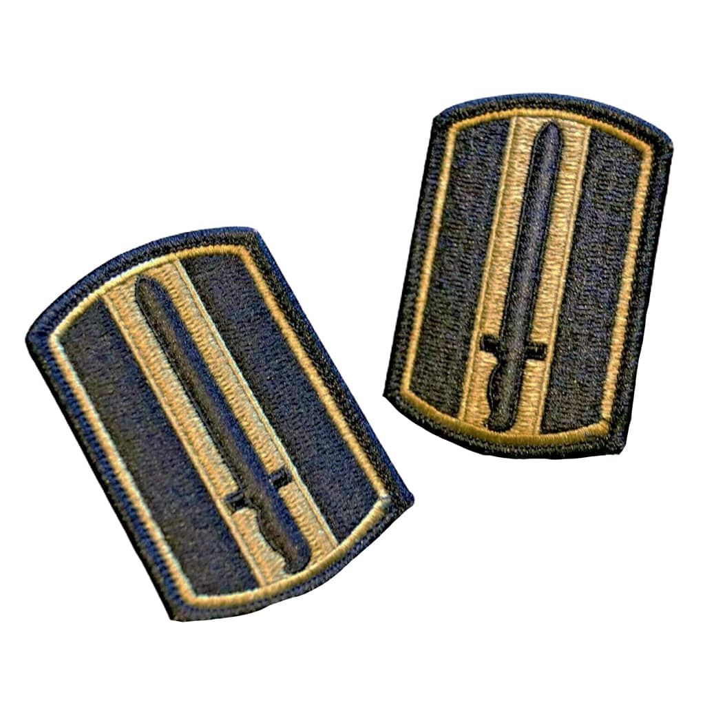 193rd Infantry Brigade OCP Patch with Hook Fastener - Pair