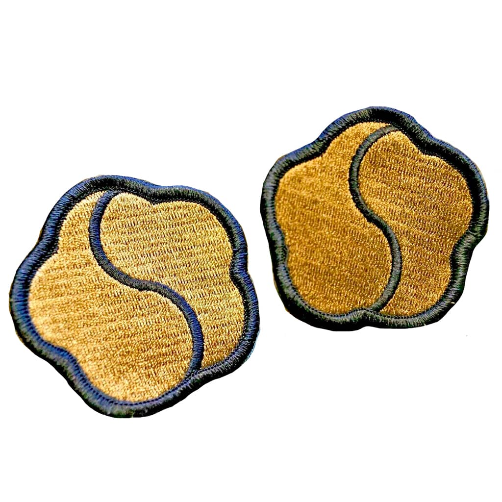 19th Support Command OCP Patch With Hook Fastener - Pair